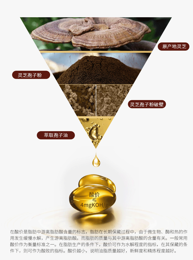 大漢寶芝 靈芝孢子油軟膠囊